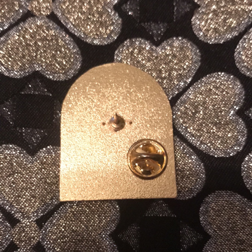 Alaska Pin - Picture 4 of 5